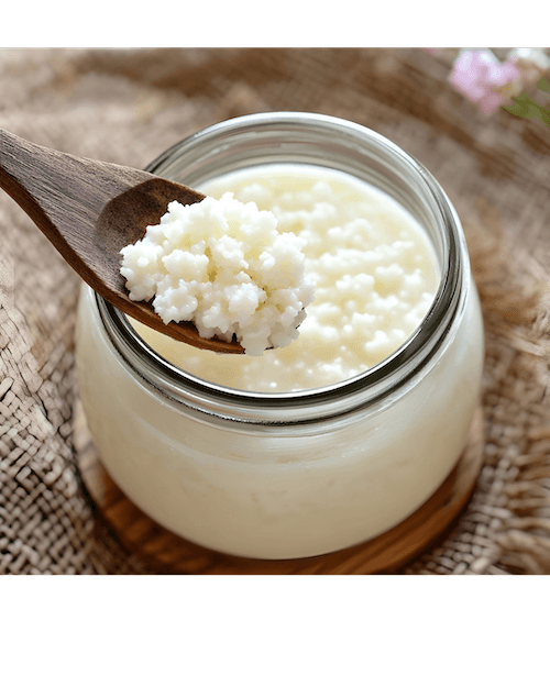 Kefir Grains