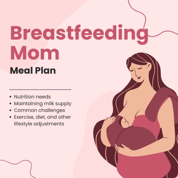 Breastfeeding Mom Meal Plan